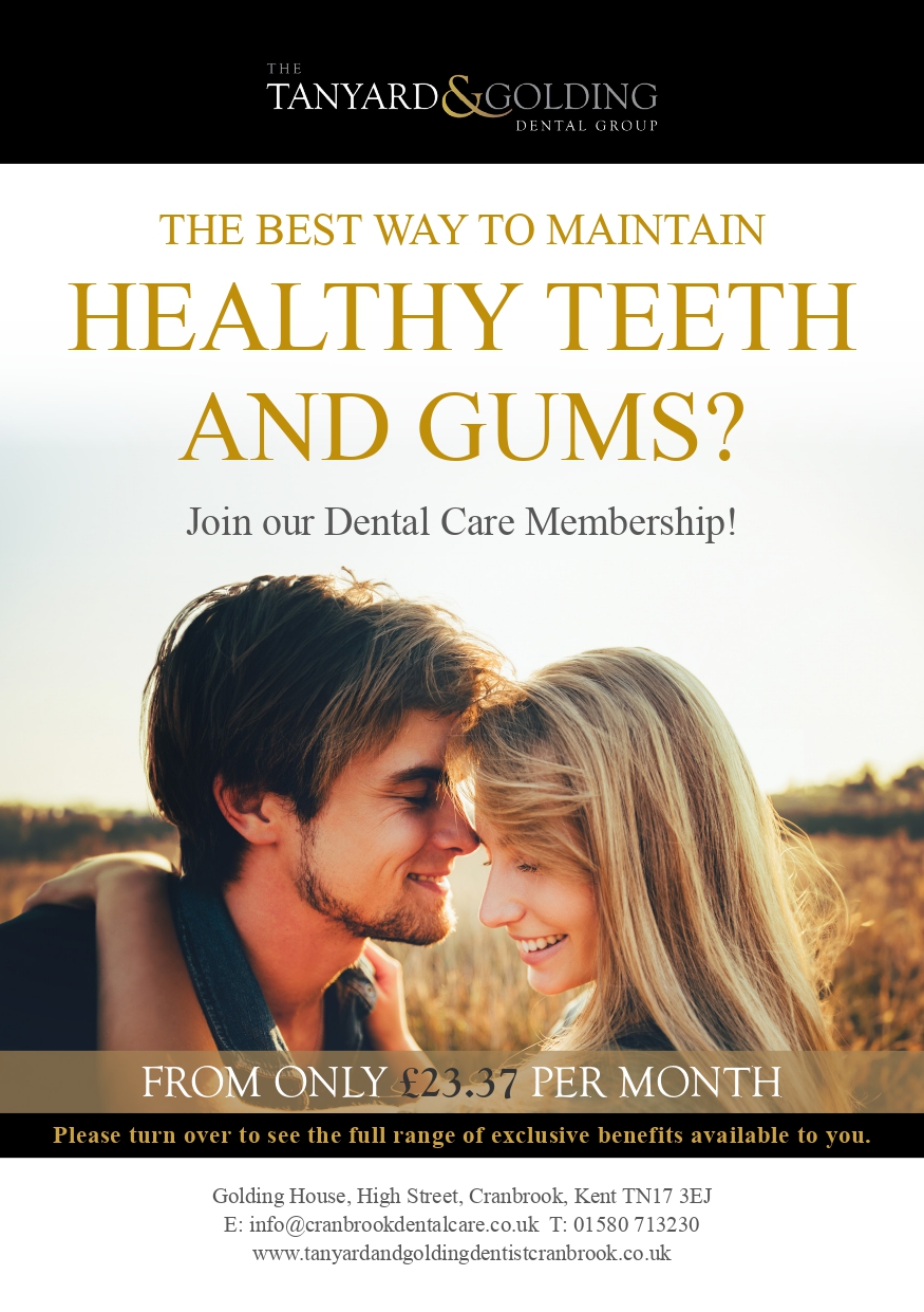 Fees 19 Dental Hygiene care plan page 0001